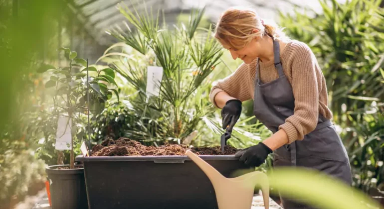 img-20-6638c51a106e2