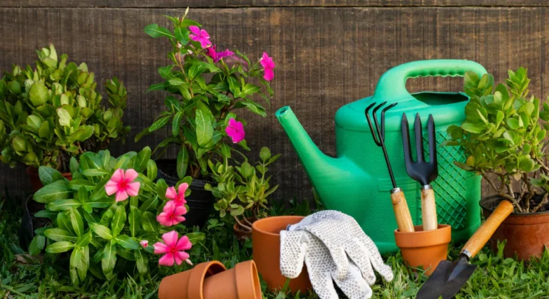 img-37-665da700b9708