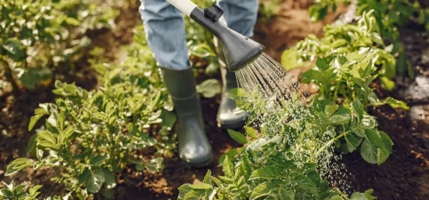 img-19-6638c51a237c9