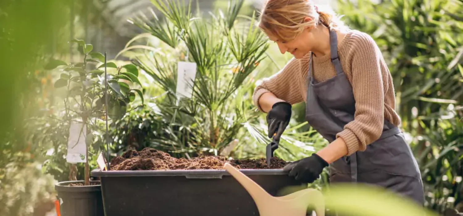 img-20-6638c51a106e2